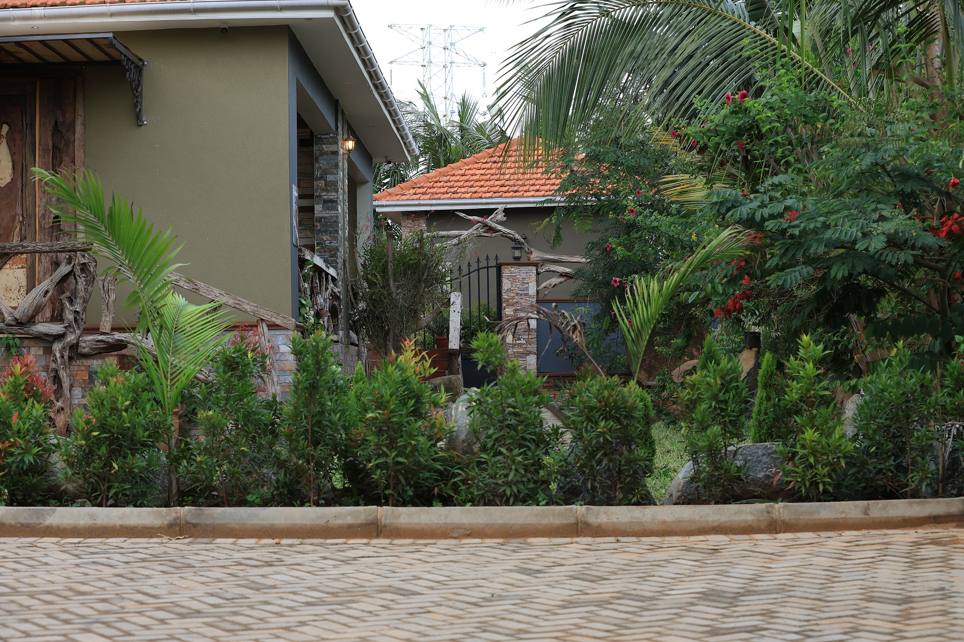 Snuggy Forest Cottage